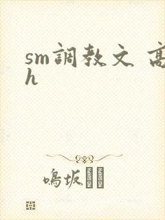 sm调教文 高h