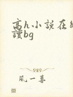 高h小说在线阅读bg封面