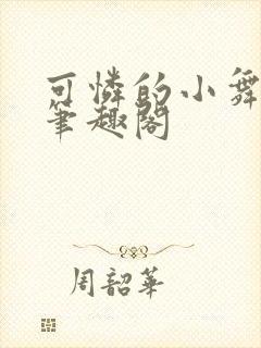 可怜的小舞小说笔趣阁