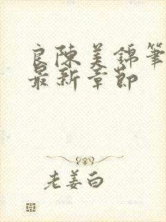 良陈美锦笔趣阁最新章节