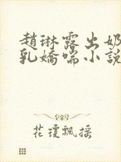 赵琳露出奶头喂乳娇喘小说