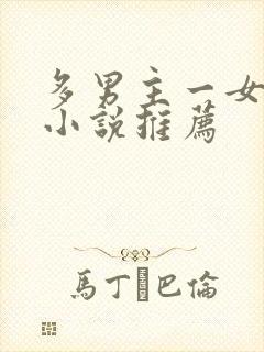 多男主一女主的小说推荐