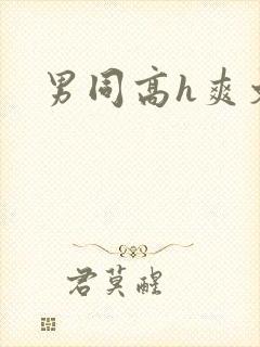 男同高h爽文