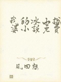 我的冰山总裁老婆小说免费阅读封面