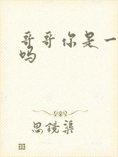 哥哥你是一个人吗封面