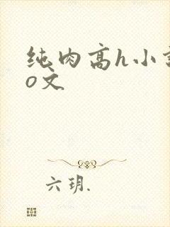 纯肉高h小说po文封面