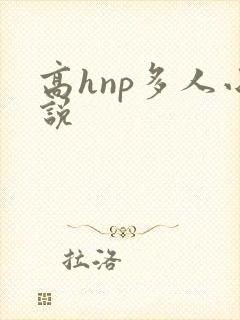 高hnp多人小说