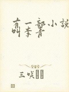 有一部小说男主叫李青