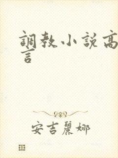 调教小说高h古言封面