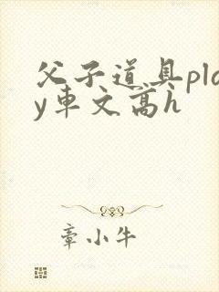 父子道具play车文高h