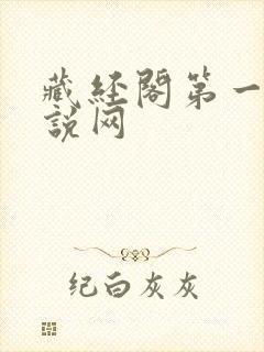 藏经阁第一版小说网封面