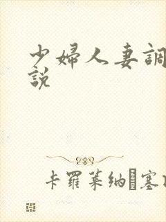 少妇人妻调教小说封面