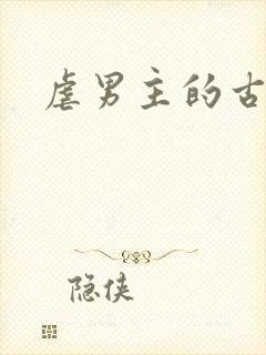 虐男主的古言封面