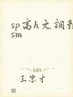 sp高h文调教sm