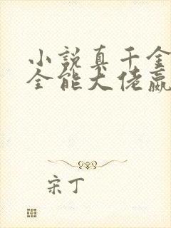 小说真千金她是全能大佬嬴子衿正版封面