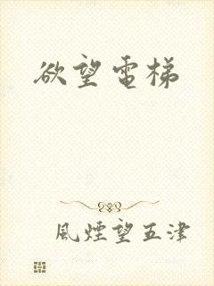 欲望电梯