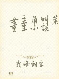 女主角叫叶薇的重生小说