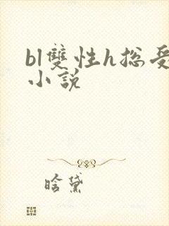 bl双性h总受小说