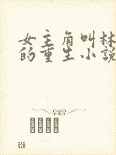 女主角叫林清婉的重生小说