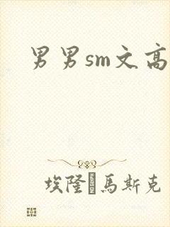 男男sm文高h