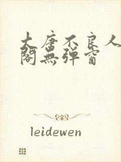 大唐不良人笔趣阁无弹窗