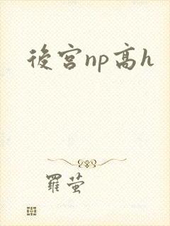 后宫np高h
