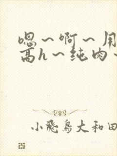 嗯～啊～用力～高h～纯肉～男男