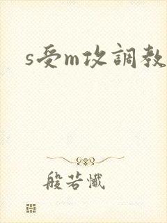 s受m攻调教文
