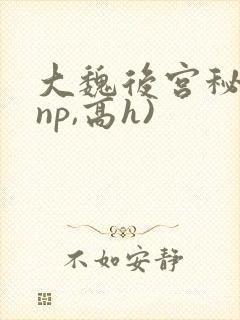 大魏后宫秘史(np,高h)