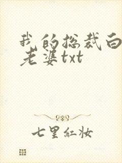 我的总裁白富美老婆txt