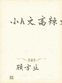 小h文高辣文