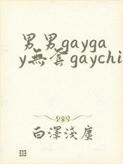 男男gaygay无套gaychina