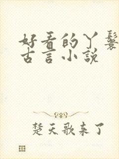 好看的丫鬟小说古言小说封面