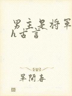 男主是将军的高h古言