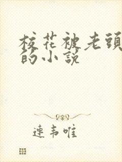 校花被老头欺负的小说