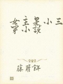 女主是小三的快穿小说封面
