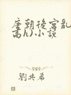 唐朝后宫乱淫(高h)小说