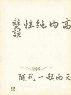 双性纯肉高h小说