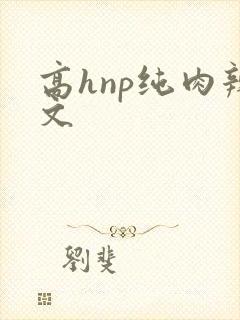高hnp纯肉辣文