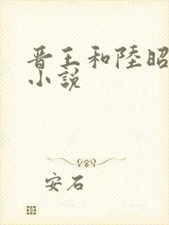 晋王和陆昭菱的小说封面