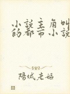 小说主角叫李宇的都市小说封面