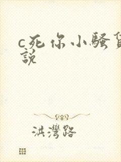 c死你小骚货小说封面