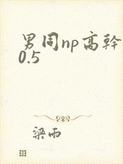 男同np高干文0.5