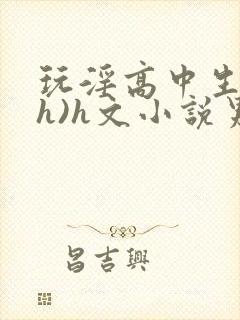 玩淫高中生(高h)h文小说男男封面