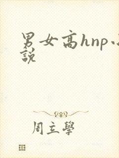 男女高hnp小说