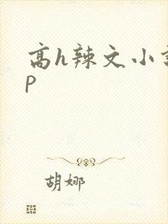 高h辣文小说np封面