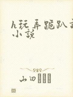 h玩弄跪趴调教小说封面