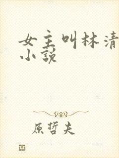 女主叫林清雅的小说
