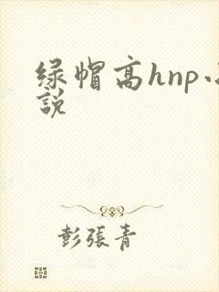 绿帽高hnp小说封面