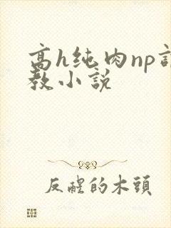 高h纯肉np调教小说